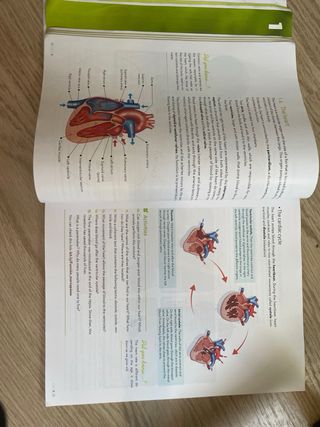 Biology and Geology Secondary 3 ESO 9788448627706