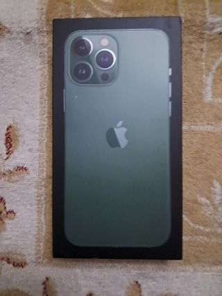 Custodia verde per iPhone 13 Pro Max