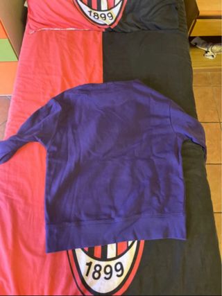 Felpa viola con cappuccio