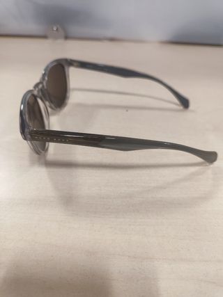 Gafas de Sol Hugo Boss Grises y Marrones