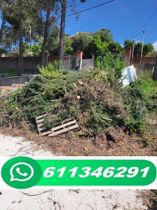 limpieza de terrenos Retirada de restos de poda