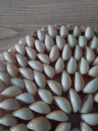 Sottopentola con conchiglie