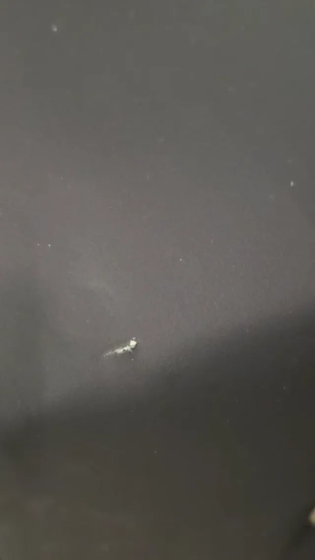 Caja Box Pilates Negra