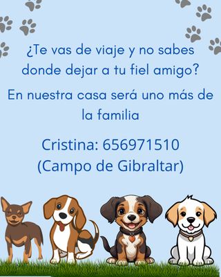 Cuido a tu fiel amigo si te vas de viaje.