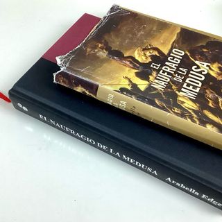 Libro: El Naufragio de la Medusa (Arabella Edge)