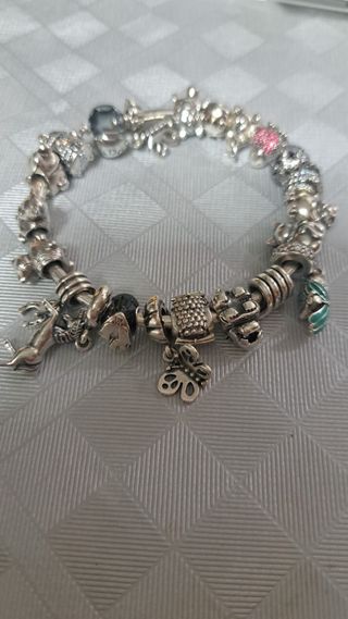 30€ cada Charm de Pandora