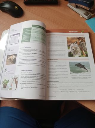 Biologia i Geologia 1 ESO
