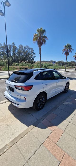 Ford Kuga 2.5 AUT. PHEV ST-LINE X 225 CV.