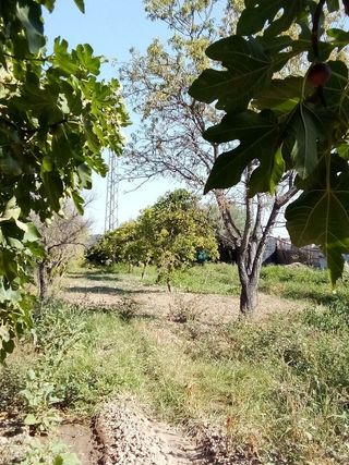 Casa rural en venta en Gelves