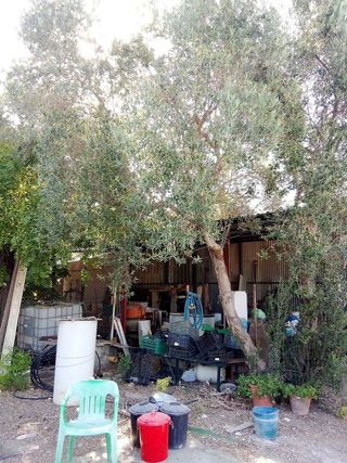 Casa rural en venta en Gelves