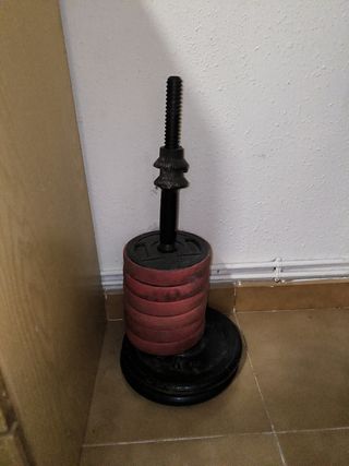 Pesas de gimnasio