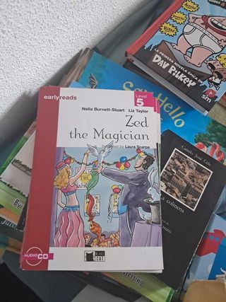 Nasreddin Ten Stories (Earlyreads)