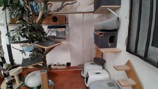 Piso en venta en Yecla