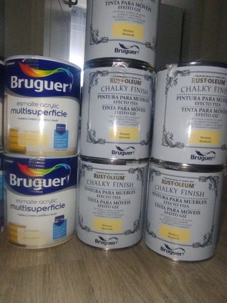 15 botes pintura Bruguer Variadas
