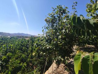 Casa en venta en Motril pueblo en Motril