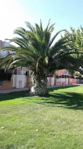 Casa adosada en venta en Santa María en Ciudad Real