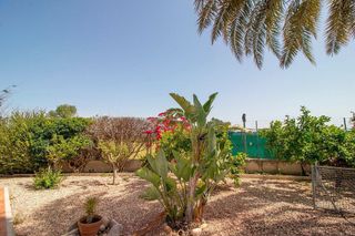 Casa rural en venta en Albatera