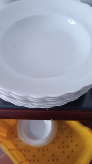 Vajilla de porcelana varias piezas