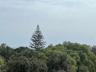 Chalet en venta en Elviria en Marbella