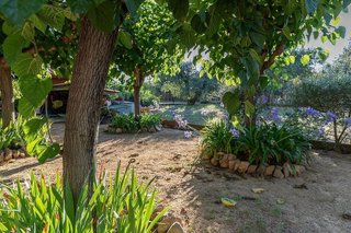 Casa rural en venta en Riudoms