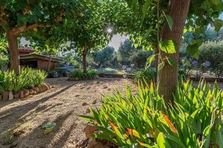 Casa rural en venta en Riudoms