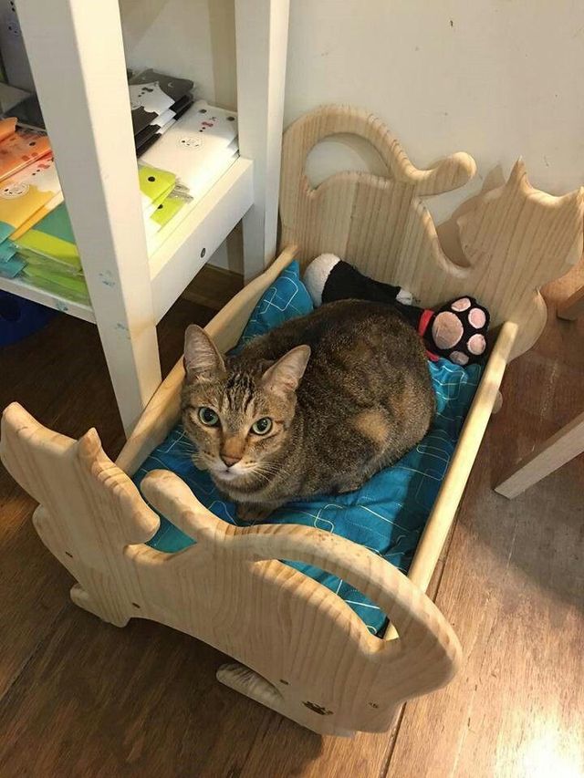 CNC para camper, muebles y decoración – 55 €/table