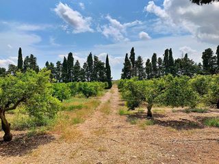 Casa rural en venta en Roquetes