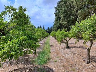 Casa rural en venta en Roquetes