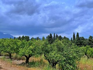 Casa rural en venta en Roquetes