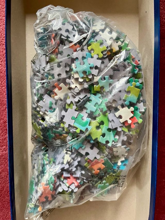 Puzzle collector Rosina Wachtmeister