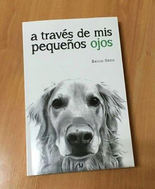 A través de mis pequeños ojos