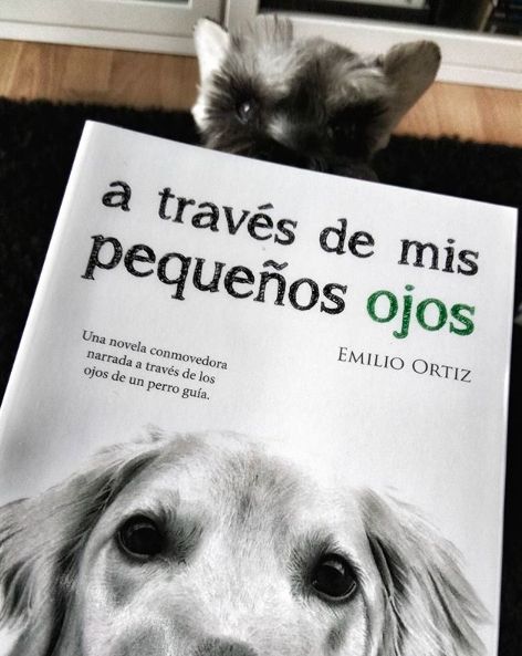 A través de mis pequeños ojos