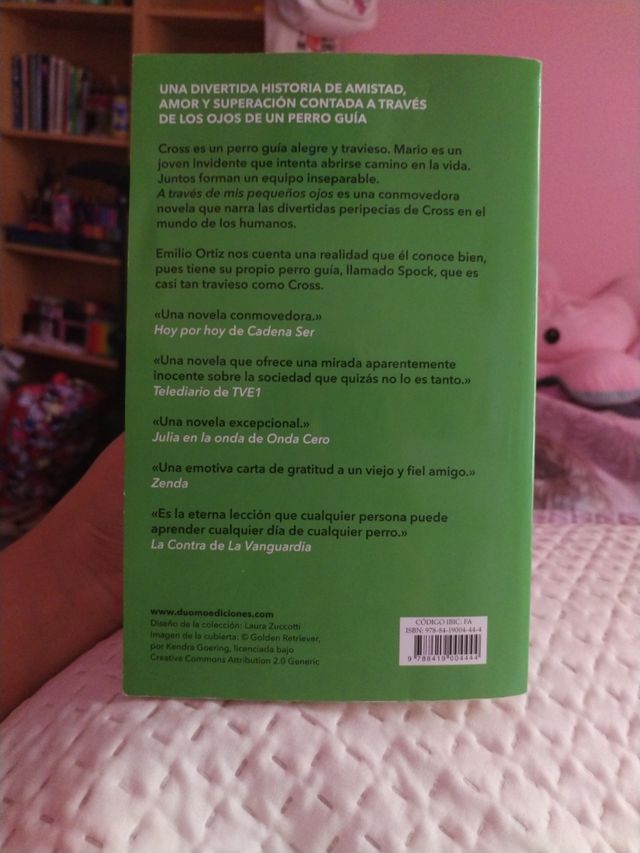 A través de mis pequeños ojos