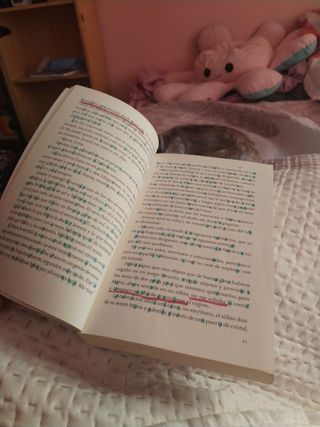 A través de mis pequeños ojos