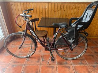 Bicicleta de paseo para adulto con silla infantil