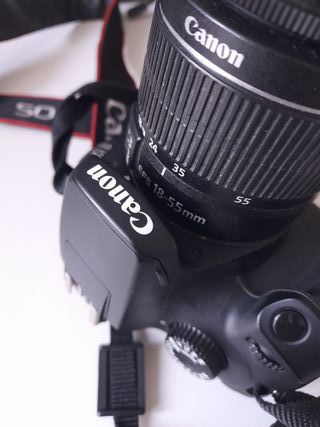 Cámara Canon EOS 4000D con funda compartimentada