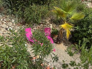 Piso en venta en Teulada Pueblo en Teulada