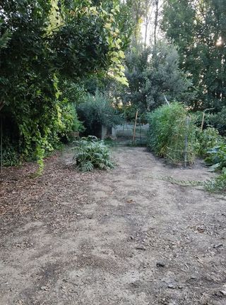 Chalet en venta en Alcarràs