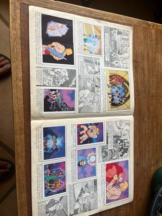 Album Panini Masters del Universo Completo