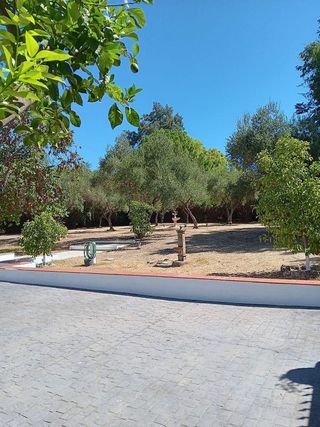 Chalet en alquiler en Espartinas