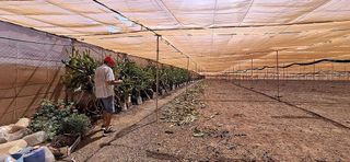 Casa rural en venta en Tuineje