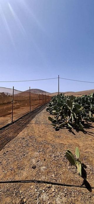 Casa rural en venta en Tuineje