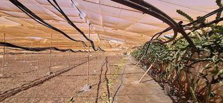 Casa rural en venta en Tuineje