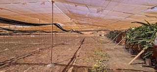 Casa rural en venta en Tuineje