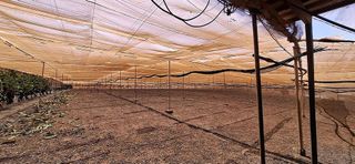 Casa rural en venta en Tuineje