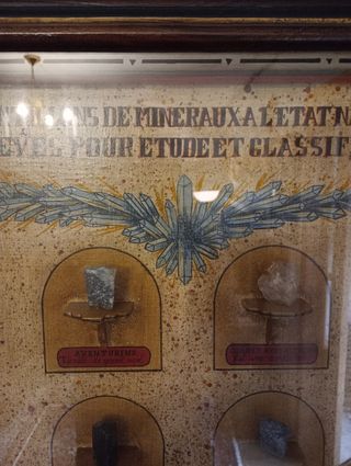 Vitrina Expositora Minerales