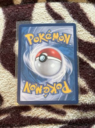 Krookodile Holo Pokemon Card
