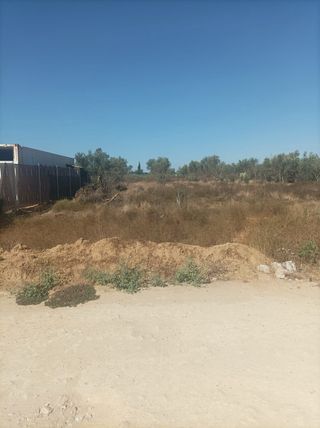 Parcela rústica con agua de pozo(negociable)