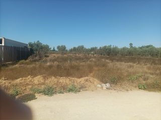 Parcela rústica con agua de pozo(negociable)