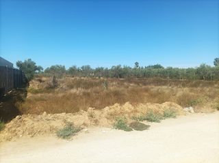 Parcela rústica con agua de pozo(negociable)